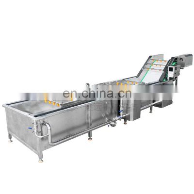 Best selling vegetable washing processing machine washing machine for vegetable and fruit