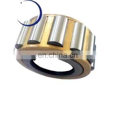 Cylindrical Roller Bearing 5020 2LSV NNF 5020 ADB-2LSV bearing