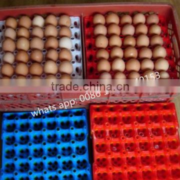 Packing transport tray plastic chicken egg tray 30 holes egg tray price