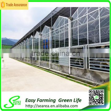 hot sale commerical glass greenhouse shade green house design