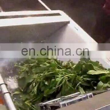 Ce approved Air bubble vegetable leafy and fruit washing machine for sale