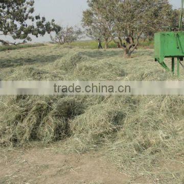 Rohded Grass for animal feed
