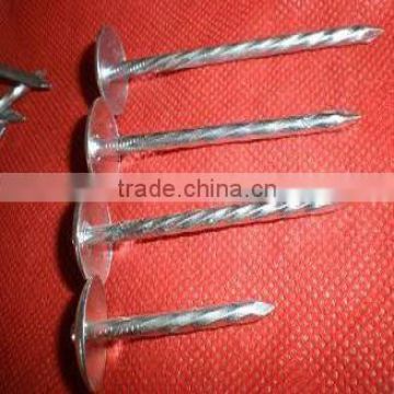 13bwgx1-3/4"galvanized roofing nails