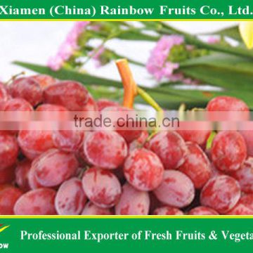 Supply delicious sweet fresh red globe grape red globe grape from China