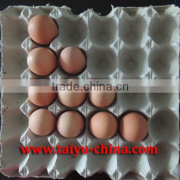 Taiyu- stock-discount paper pulp egg tray manufacturer(website:hysandywang)