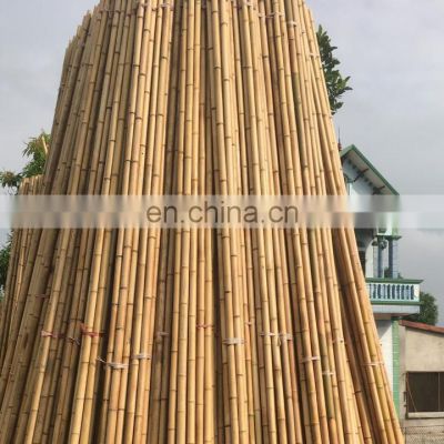 Professional Product and Lowest Price Raw Bamboo standard size open for handmade product from distributor in Viet Nam