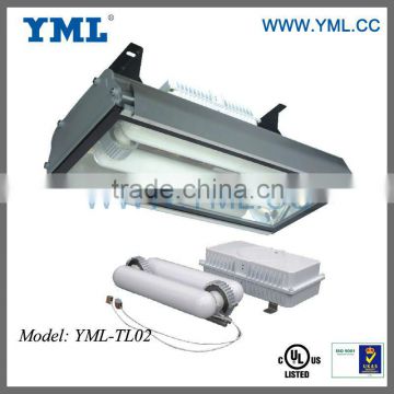 Led Tunnel Light Electrodeless Induction Lamp