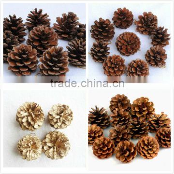 Decorative Pinecone Craft For Christmas Decoration Natural Glitter Pinecone
