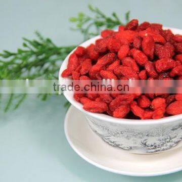 NingXia 2015 fresh dried goji berry golden suppliers/manufacturer 280pcs