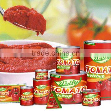 70G-4.5KG High Quality Manufactory China Factory Canned Tomato Paste