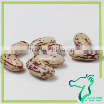 2016 New Crop Light Speckled Kidney Beans Size 200-220