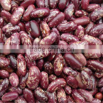 purple kidney bean