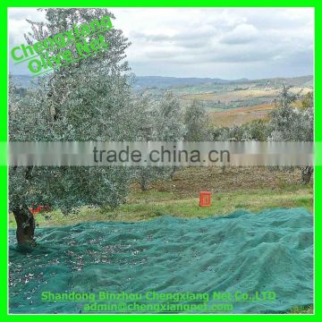 Chengxiang Olive Net