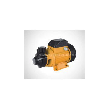 Vortex pump / Peripheral pump QB60/70/80/90