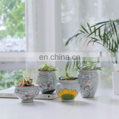 creative colours succulent flower pot hot for sale