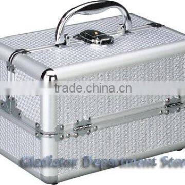 Professional Cosmetic case (D2625)