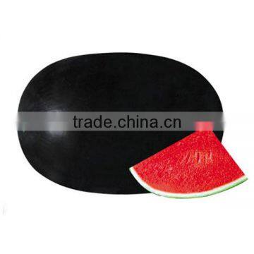 Oblong Black Rind Watermelon Seed FST 9700