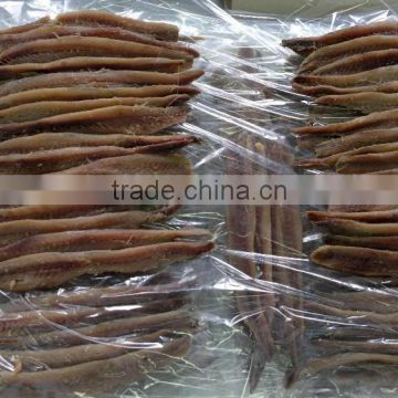 Italy processing way salted anchovy fillets