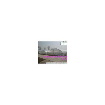 Tunnel Plastic Greenhouses for Sale
