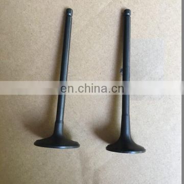 Intake Valve and exhaust valve for ford focus