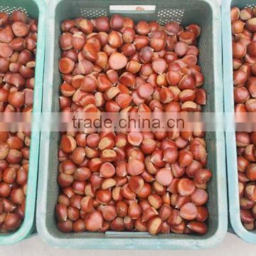 2015 crop Chinese origin fresh chestnut offer