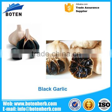 Top Quality High Black Garlic Extract With the Best