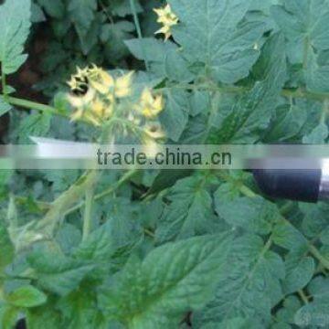 2015 newest electric tomato pollination tool/electric tomato pollinators