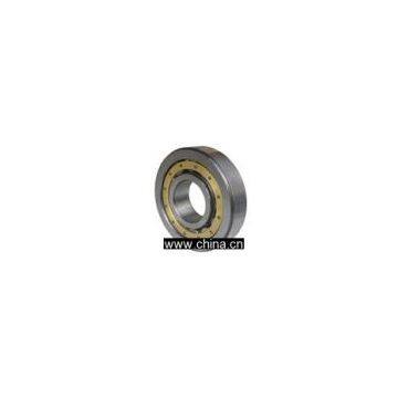 cylindrical roller bearing