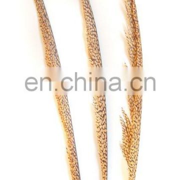 Wholesale Carnival Natural Pheasant Feather
