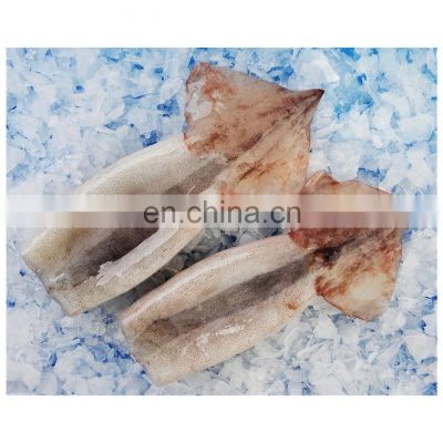 Good quality illex squid tube skin on for export