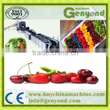 -150 C cryogenic tunnel quick frozen for fruit and vegetable product line