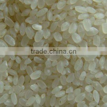 Medium Grain White Rice