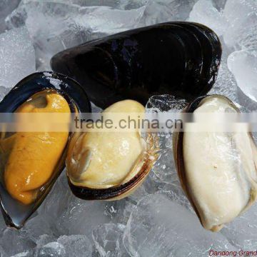 frozen cooked half shell blue mussel meat