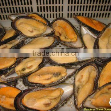 seafood frozen half shell cooked mussel