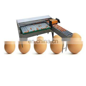 Commercial chicken egg sorting machine