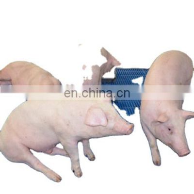 plastic slats, slatted flooring Animal husbandry farm equipment for swine, pig flooring