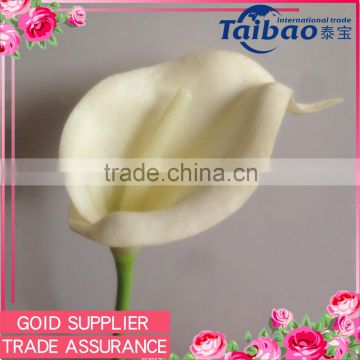 Tianjin Taibo wholesale PU material long stem 35 cm ivoy real touch calla lily