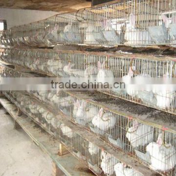 Folding Metal Cages For Breeding Rabbit Cage