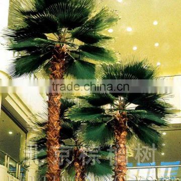 Indoor Artificial Plastic Palm trees Environmental Friendly Artificial Plants
