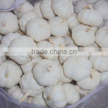 2016 new crop Chinese pure white garlic