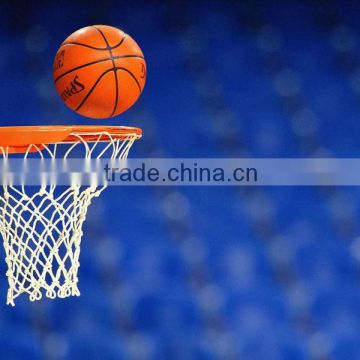 FIBA approved basketball hoop strongly custom-made