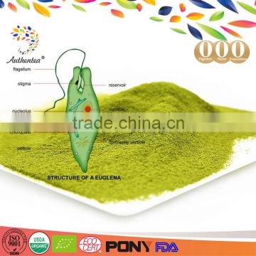Hot sale 100% natural euglena extract powder