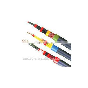 Plastic copper XLPE/PE/PVC insulated PVC sheated control cable