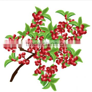 China new products szechuan peppers innovative products for import