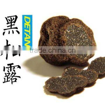 Delicious Wild Black Truffle Mushroom Hot Sale