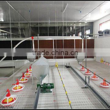 Feed line for poultry made in China