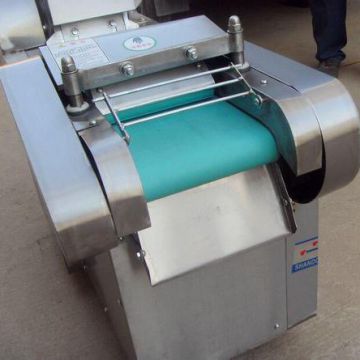 500-800 Kg/h Food Dicer Machine Leeks, Strip