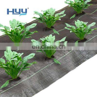 PP Woven Anti Grass Weed Control Cloth Mulch Film Landscape Agricultural Fabric Barrier Mat Weed Mat