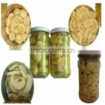 brand name of mushroom canned mushroom brands with hot selling