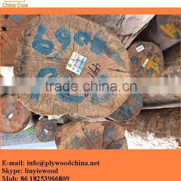 wood veneer supplier/plb wood veneer/wood veneer face for plywood